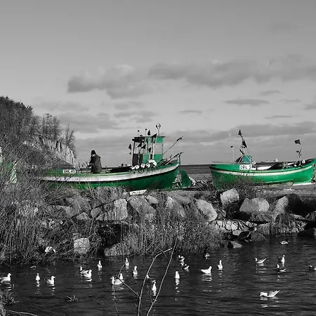 Kolibki - Hav Aparts